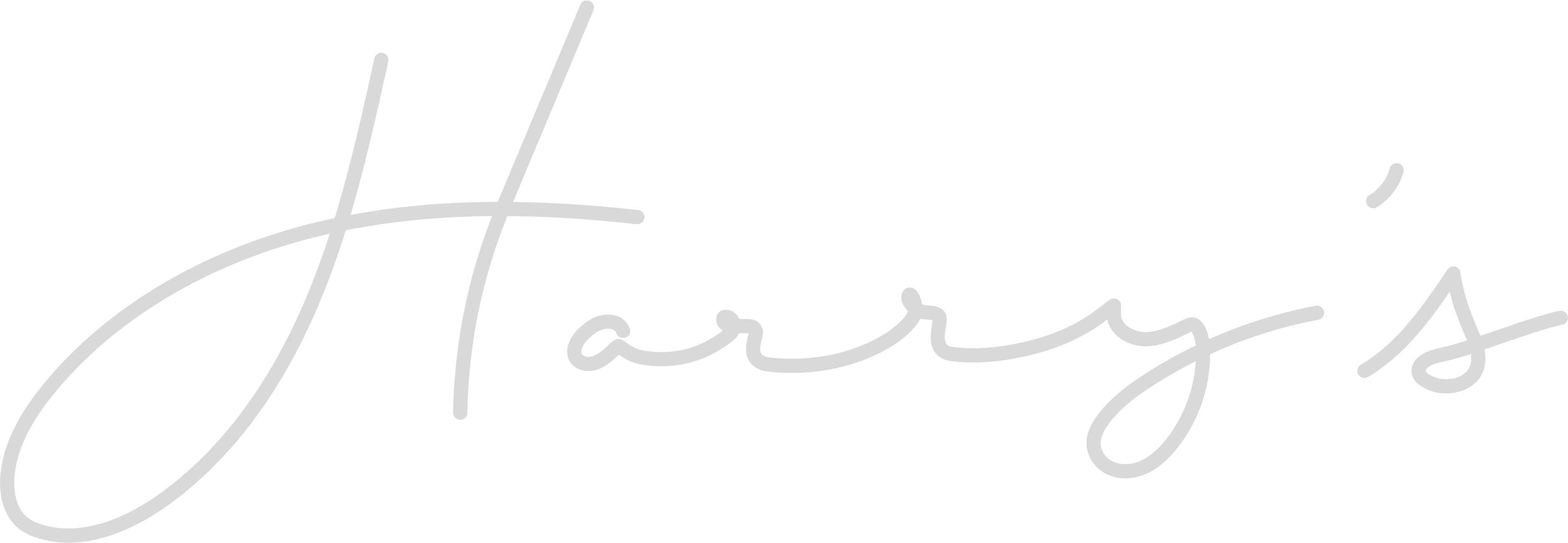 Harry's Bar & Restaurant Reservations